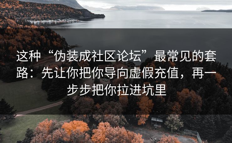 这种“伪装成社区论坛”最常见的套路：先让你把你导向虚假充值，再一步步把你拉进坑里