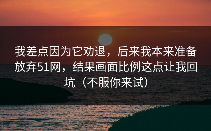 我差点因为它劝退，后来我本来准备放弃51网，结果画面比例这点让我回坑（不服你来试）